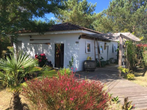 Chalet 8 personnes Landes, 4 Chambres